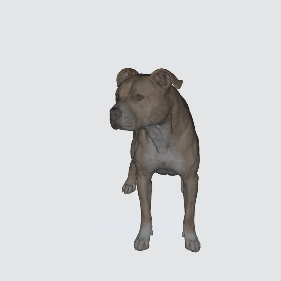 Full-body American Pit Bull Terrier 3D model preview