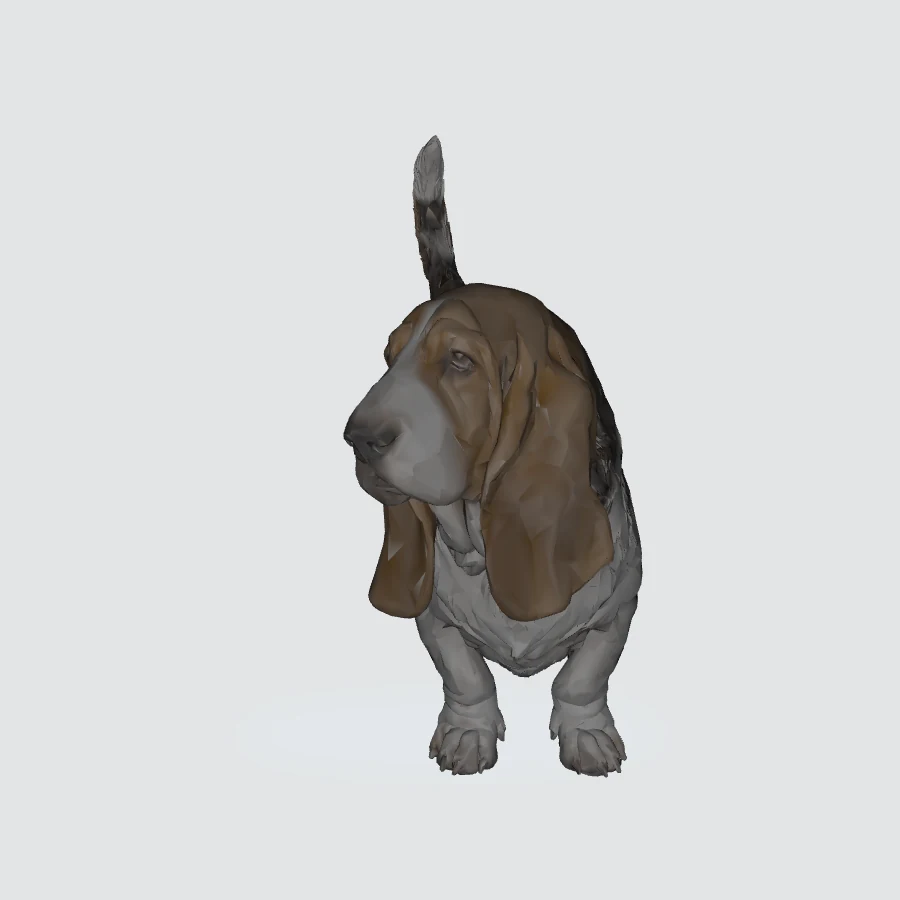 Full-body Basset Hound 3D model preview