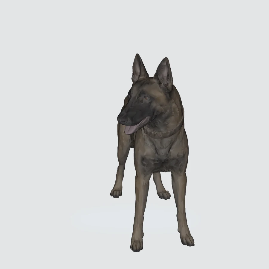 Full-body Belgian Malinois 3D model preview