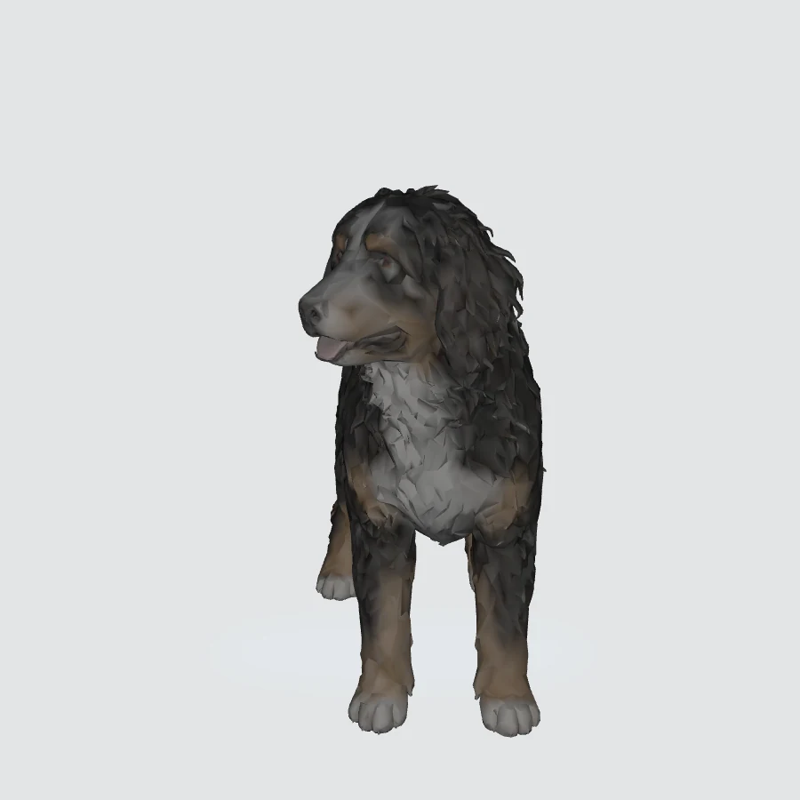 Full-body Bernedoodle 3D model preview