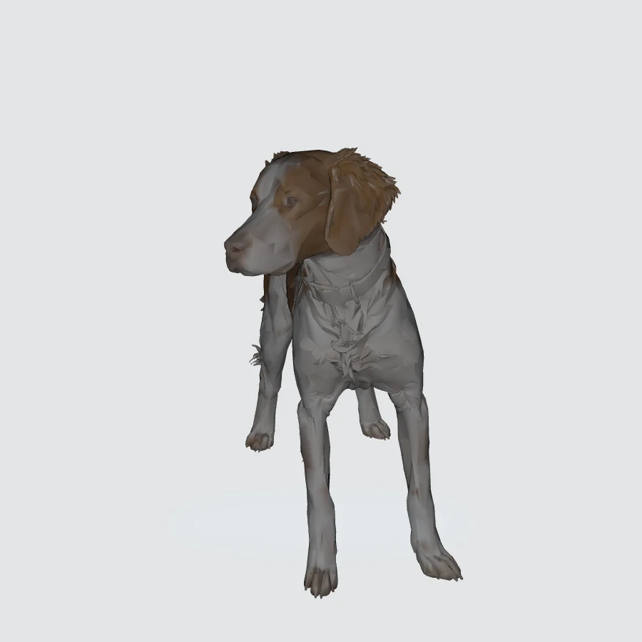 Full-body Brittany 3D model preview