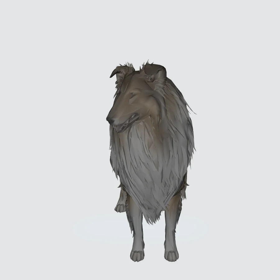 Full-body Collie 3D model preview
