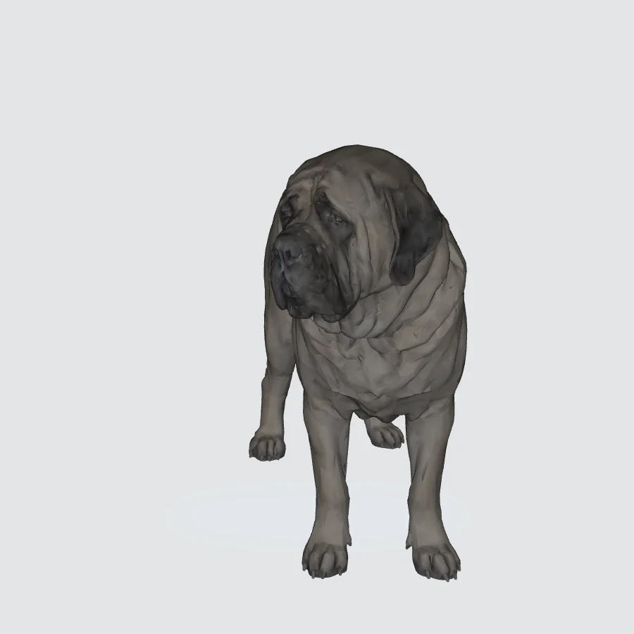 Full-body Mastiff 3D model preview