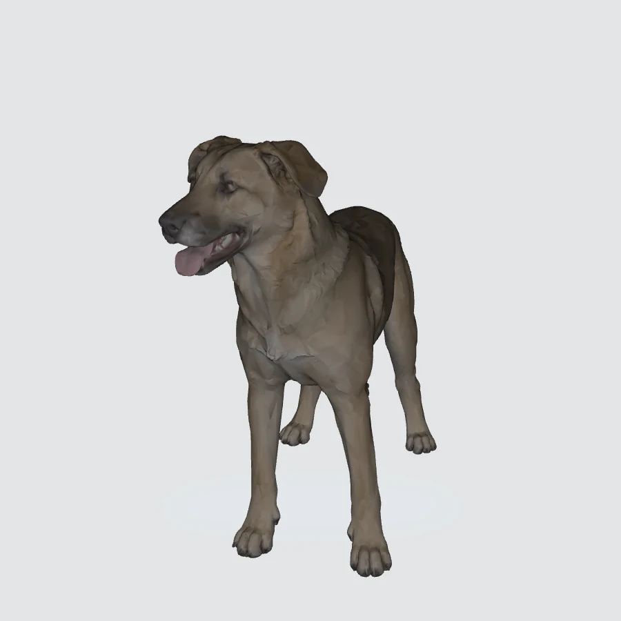 Full-body Mixed Breed, Large 3D model preview