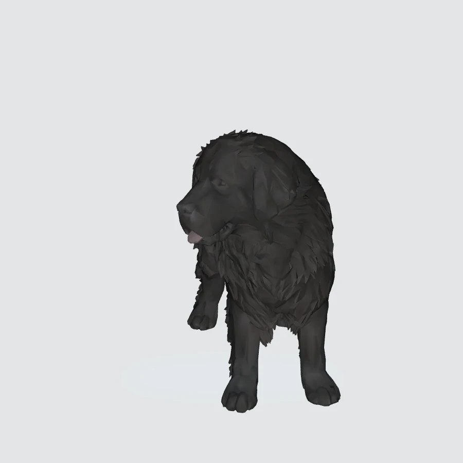 Full-body Newfoundland 3D model preview