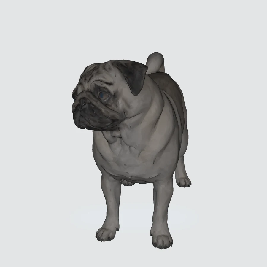 Full-body Pug 3D model preview