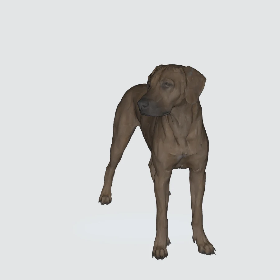 Full-body Rhodesian Ridgeback 3D model preview