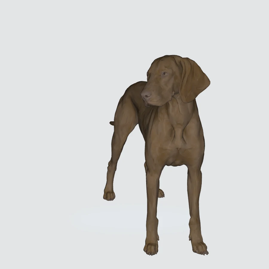Full-body Vizsla 3D model preview