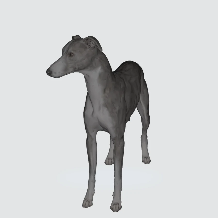 Full-body Whippet 3D model preview